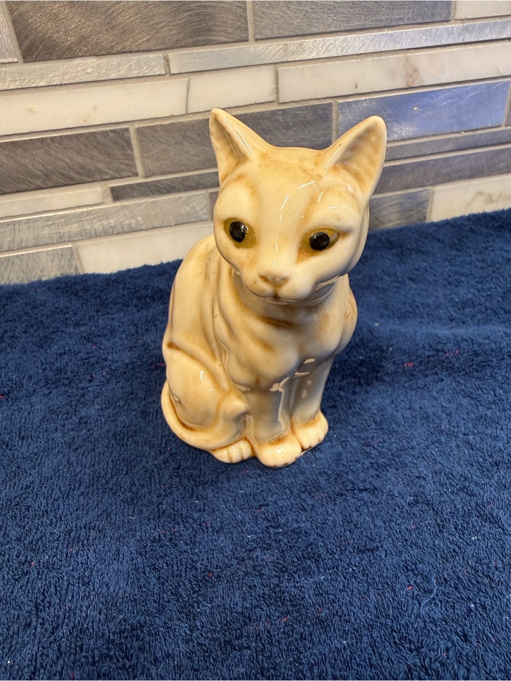 MCM Siamese Cat